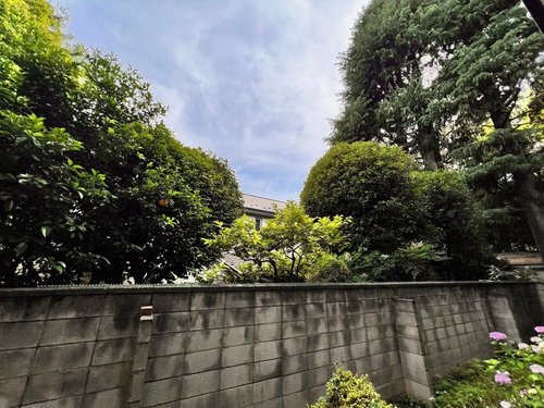バルコニー側からの眺望は緑豊かな自然を見ることができ、日々の疲れを癒してくれます。
