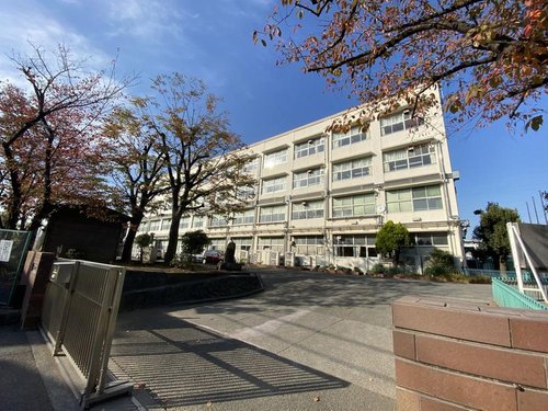 横浜市立樽町中学校まで1800m