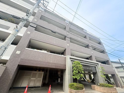 【いつものひと時】
暮らしは、特別な出来事よりも、いつもの瞬間でできている。やわらかな光と緑が寄り添うこの佇まいは、そんな日常を丁寧に包みます。長く住むほどに心が整う、シンプルで快適な住環境。