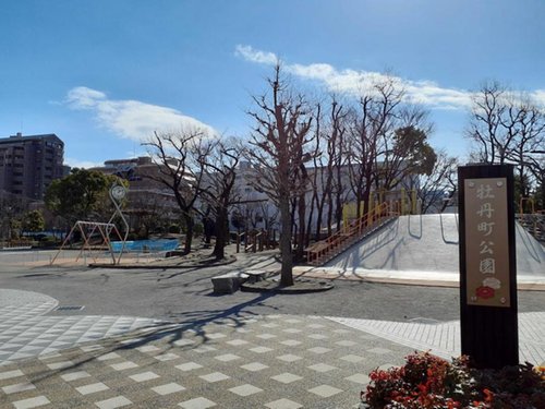 牡丹町公園まで576m