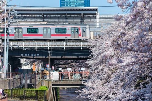「中目黒駅」へ徒歩約10分、「池尻大橋」駅も利用可能、周辺施設も充実し暮らしに便利な立地です!ご内覧予約受付中です。お気軽にお問い合わせください!