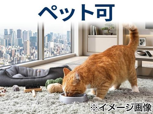 【ペット可】愛するペットと共に過ごす日々。ペット飼育可で快適な生活を。