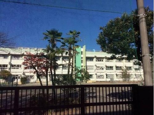 葛飾区立白鳥小学校まで586m